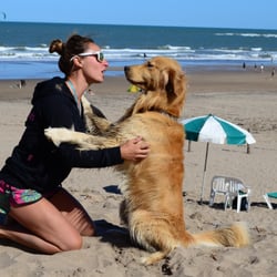 Yes Playa Canina