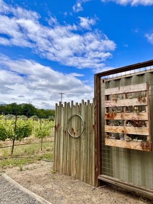 Amista Vineyards by null