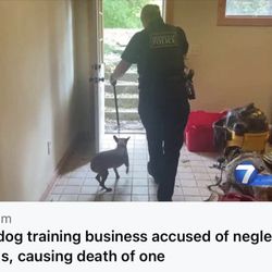 Dayton Dog Trainer