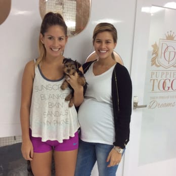 Puppies To Go - Yorkie purchase! He's a champ and is doing so good! - Pet Stores Near Me - Miami, Florida Puppies To Go - Yorkie purchase! He's a champ and is doing so good! - Pet Stores Near Me - Miami, Florida