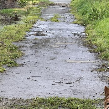 Lazy J Ranch - Walking trail by duck pond (closed in this day due to too much rain) - Mobile Home Parks Near Me - Arcata, California