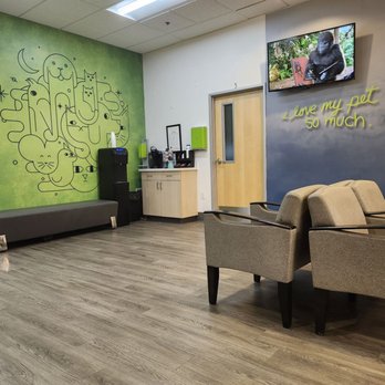 Long Beach Animal Emergency - Very clean, professional-looking waiting area. - Veterinarians Near Me - Long Beach, California Long Beach Animal Emergency - Very clean, professional-looking waiting area. - Veterinarians Near Me - Long Beach, California
