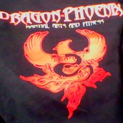 Dragon-Phoenix Martial Arts - Our DPMA LOGO