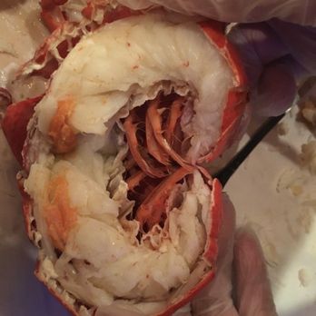 Holly Crab - Seafood Near Me - Boston, Massachusetts Holly Crab - Seafood Near Me - Boston, Massachusetts
