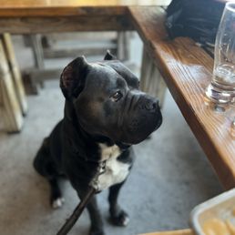 Ruger seeing a empty beer and wanting to try it