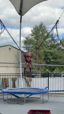 Paradise Park by null