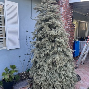 Professional Junk Removal - Junk Removal & Hauling Near Me Professional Junk Removal - Junk Removal & Hauling Near Me