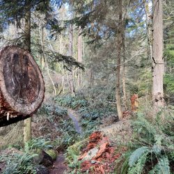 South Whidbey State Park - South Whidbey State Park trails