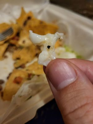 Rubio's Coastal Grill by null