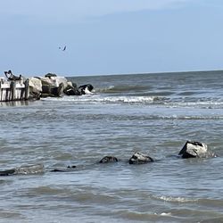 Sullivan's Island
