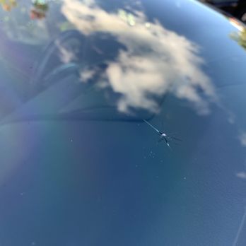 Ace Auto Glass - Rock chip frm freeway on passenger side - Auto Glass Services Near Me - Aiea, Hawaii