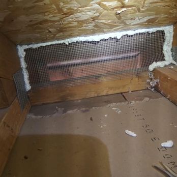 Secured Attic - Interior attic rodent exclusion. - Pest Control Near Me Secured Attic - Interior attic rodent exclusion. - Pest Control Near Me