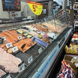 a variety of fish in a display case