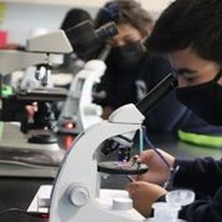 Immaculate Conception STEM Academy