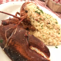 Lobster risotto special of the day Lobster risotto special of the day