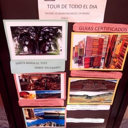 Monte Albán Tours - Las opciones