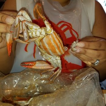 Juicy Seafood - Blue Crab broil 1 pound. - Cajun/Creole Near Me - Nashville, Tennessee Juicy Seafood - Blue Crab broil 1 pound. - Cajun/Creole Near Me - Nashville, Tennessee