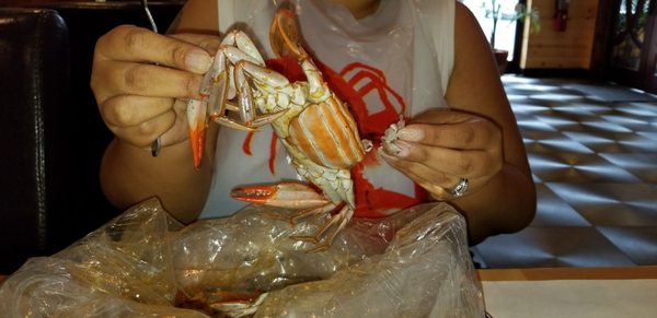 Juicy Seafood by null