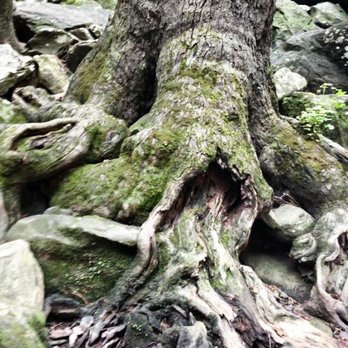 Petit Jean State Park - Parks Near Me - Morrilton, Arkansas Petit Jean State Park - Parks Near Me - Morrilton, Arkansas