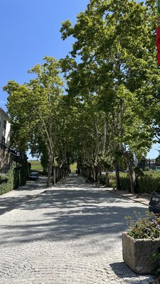 Quinta da Pacheca by null