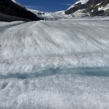 Columbia Icefield - Tours Near Me - Banff, Alberta