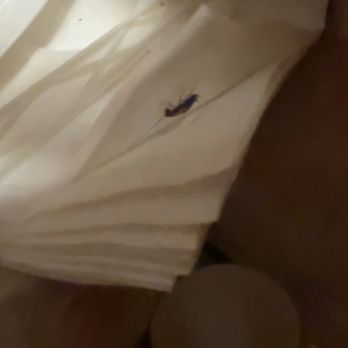 Lin's Asian Bistro - Bug on the napkin - Chinese Near Me - Midlothian, Virginia Lin's Asian Bistro - Bug on the napkin - Chinese Near Me - Midlothian, Virginia