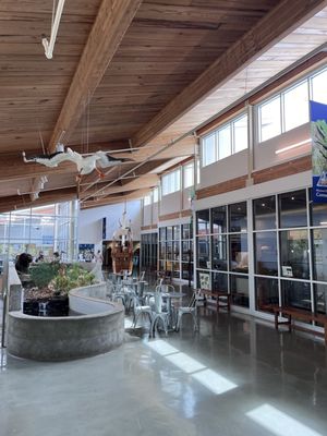 Anita B. Gorman Conservation Discovery Center by null