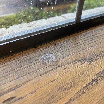 Dairy Queen - Dead flies and something gross. All tables were dirty. - Burgers Near Me - Childress, Texas Dairy Queen - Dead flies and something gross. All tables were dirty. - Burgers Near Me - Childress, Texas