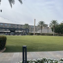 Large grounds. Plenty of open space to congregate or to escape Large grounds. Plenty of open space to congregate or to escape