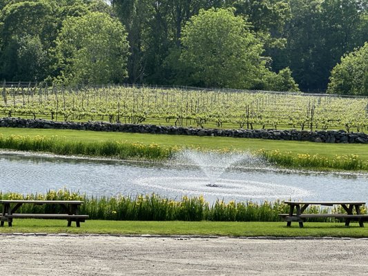 Chamard Vineyards Bistro by null