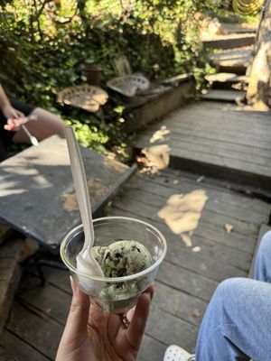 Scoops Ice Cream & Such by null