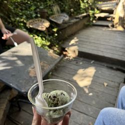 Scoops Ice Cream & Such - Baby Scoop of Mint Chip Ice Cream
