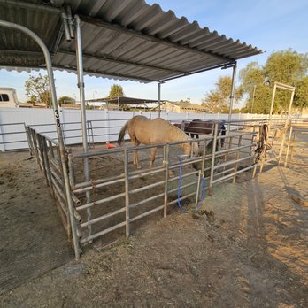 Tesoro Farms - Horse Boarding Near Me - Norco, California Tesoro Farms - Horse Boarding Near Me - Norco, California