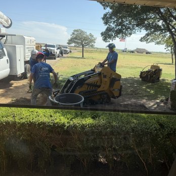 Caprock Tree Removal - Tree Services Near Me - Lubbock, Texas