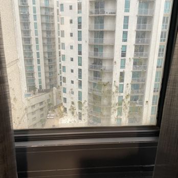 Miami Marriott Dadeland - Mold on the windows - Hotels Near Me - Miami, Florida Miami Marriott Dadeland - Mold on the windows - Hotels Near Me - Miami, Florida