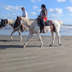 Galveston Island Horse and Pony Rides