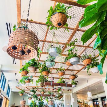 Valley Goat - Beautiful Interior! - New American Near Me - Sunnyvale, California