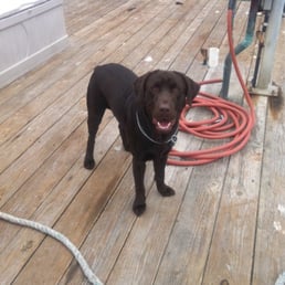 Be sure to say hello to Leroy when fueling up!
