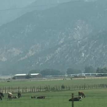 Utah State of - Fields with lots of beautiful grass for horses and cows - Local Flavor Near Me