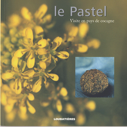 La Fleurée de Pastel - Un petit livre pas cher sur le Pastel