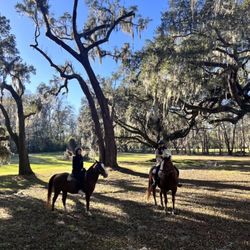 Red Gate Farms - Equestrian Center