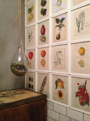 The Butcher's Daughter by null The Butcher's Daughter by null