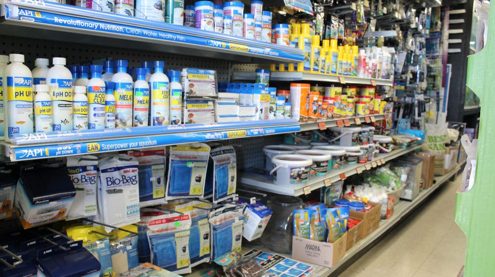 WILD FISH AQUARIUM Updated October 2024 51 Mcmurchy Avenue S