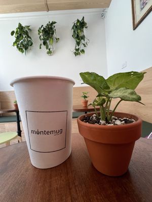 Montemug Coffee by null