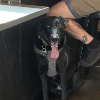 GrindHouse - random dog lol - Cafes Near Me - Chula Vista, California