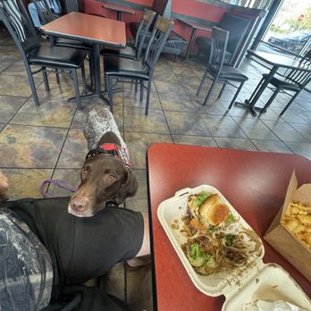 Cow & Cheese - My dog was very interested! - Burgers Near Me - Winter Park, Florida Cow & Cheese - My dog was very interested! - Burgers Near Me - Winter Park, Florida
