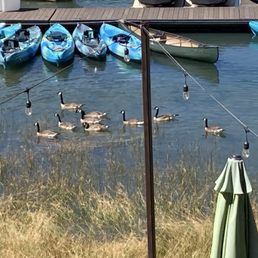 Kayak rentals Kayak rentals
