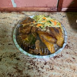 Medium Oxtail Medium Oxtail