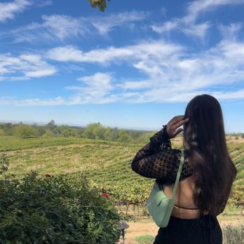 Wise Villa Winery - Wine Tasting Room Near Me - Lincoln, California Wise Villa Winery - Wine Tasting Room Near Me - Lincoln, California