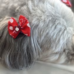 Doggy Box - Valentines